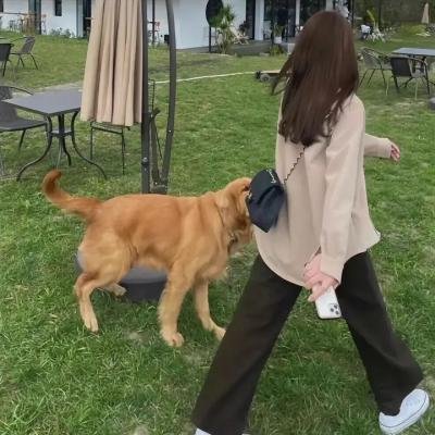 绝命直播